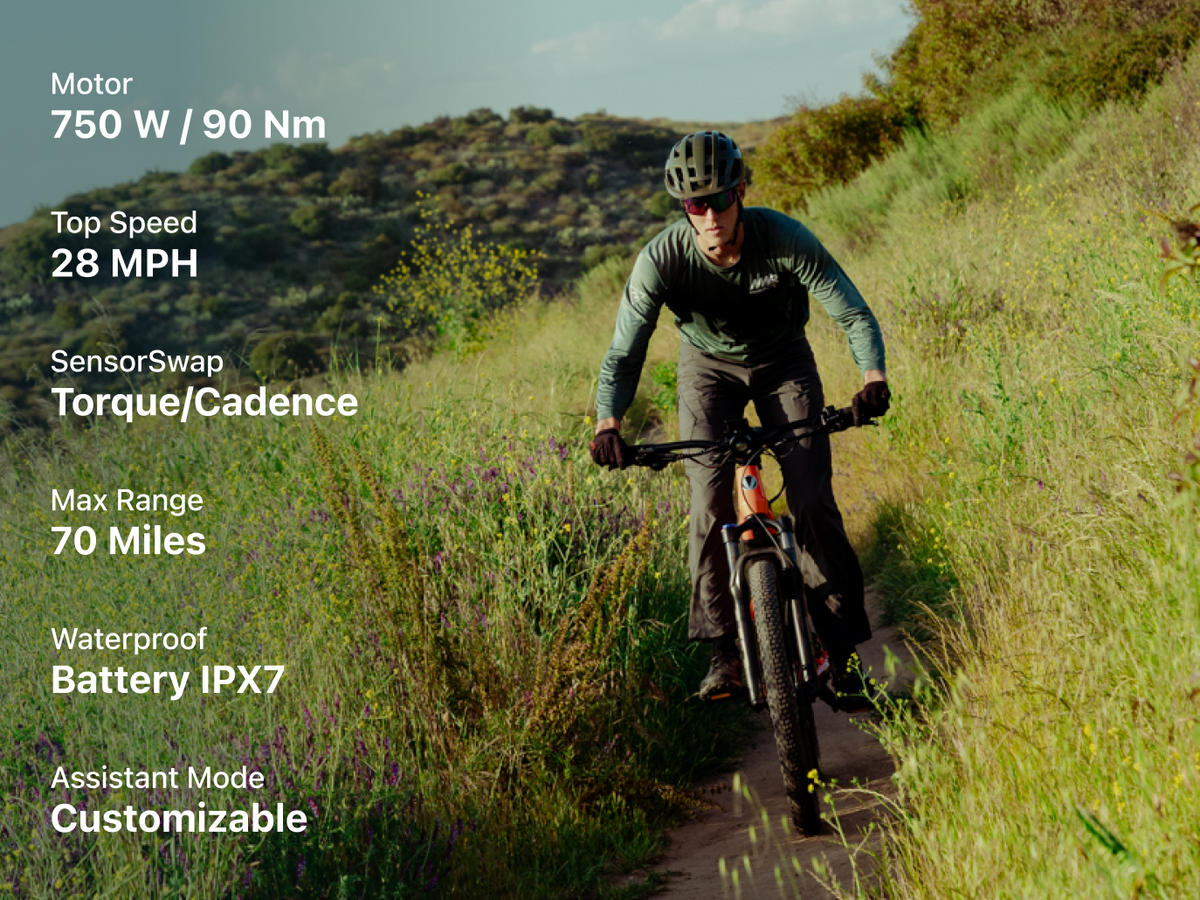 Summit 1 Ebike