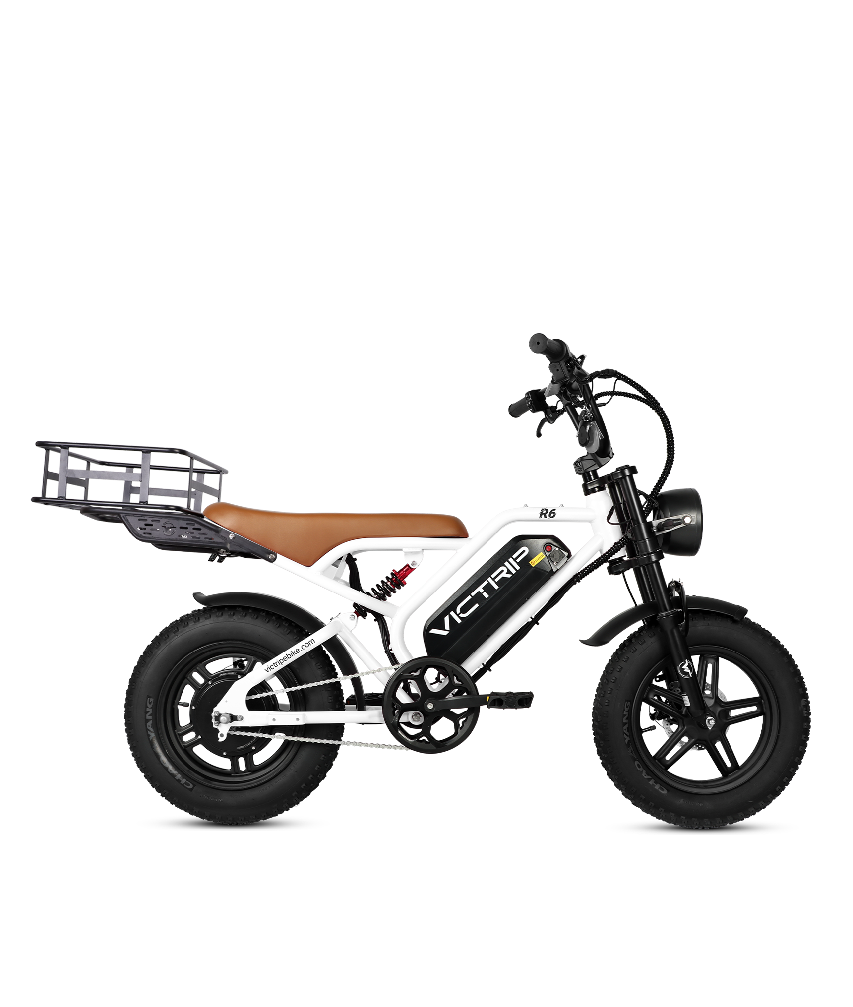 Cargo Electric Bike Affordable | VICTRIP
