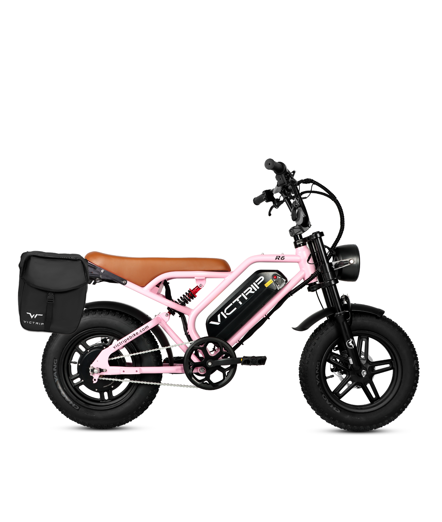 Electric Bike With Cargo | VICTRIP