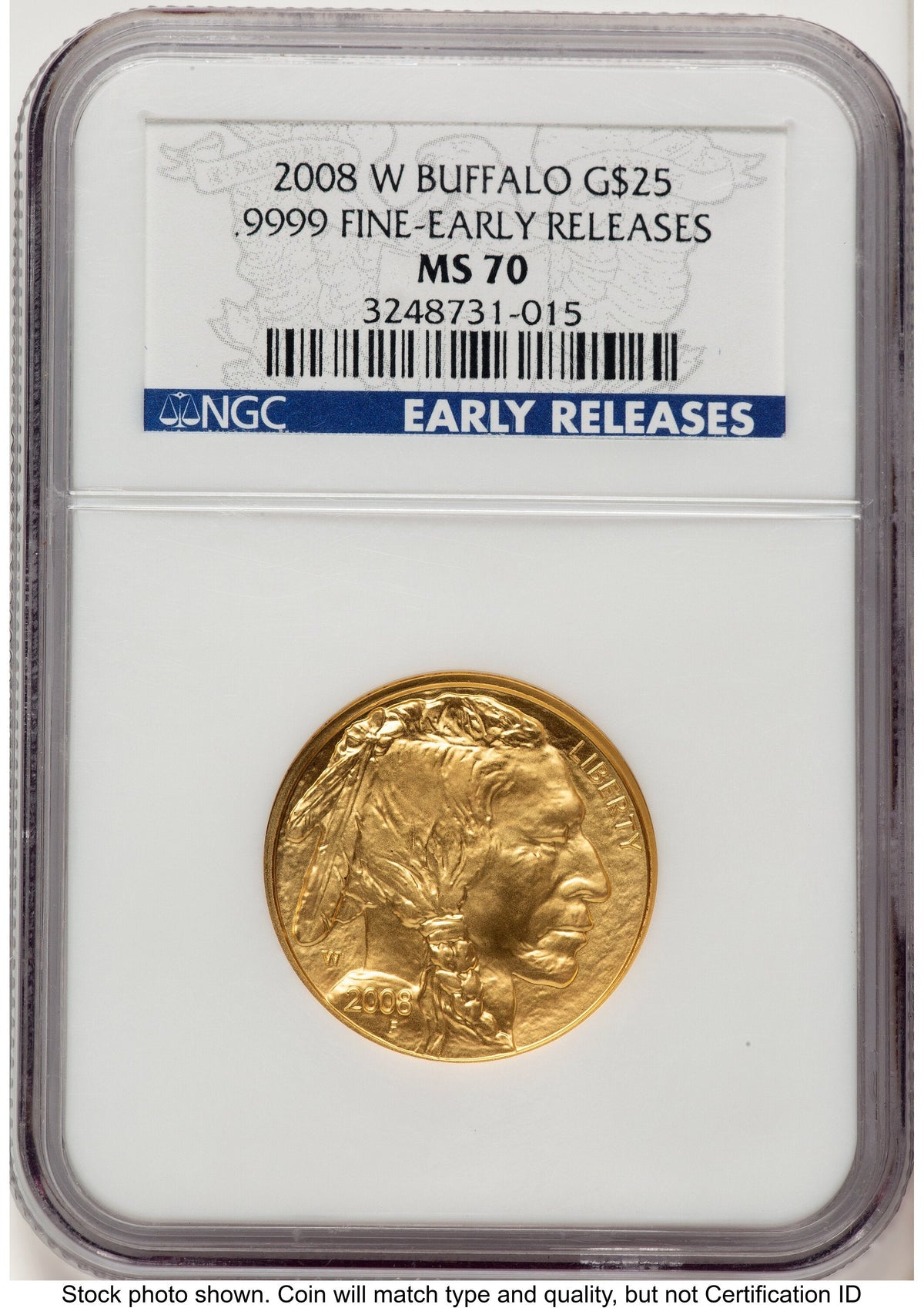 2008-W Burnished Gold Buffalo 1/2 oz ER Blue NGC MS70