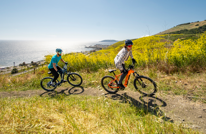 Summit 1 Ebike