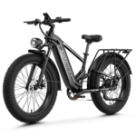 M2 Pro Xterrain Ebike - Image 2