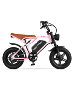R6 Pro - 1500W Full Suspension Moped Style EBike - Image 46