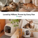 Self-Cleaning Cat Litter Box - Image 10