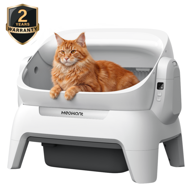 Self-Cleaning Cat Litter Box